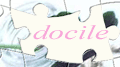 �J�^�J�i�ǂ݂́u�h�V���v�ł��B