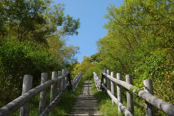階段……